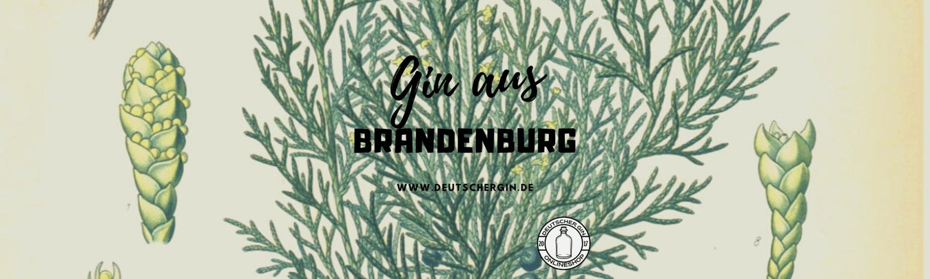 Gins aus Brandenburg - Deutschergin