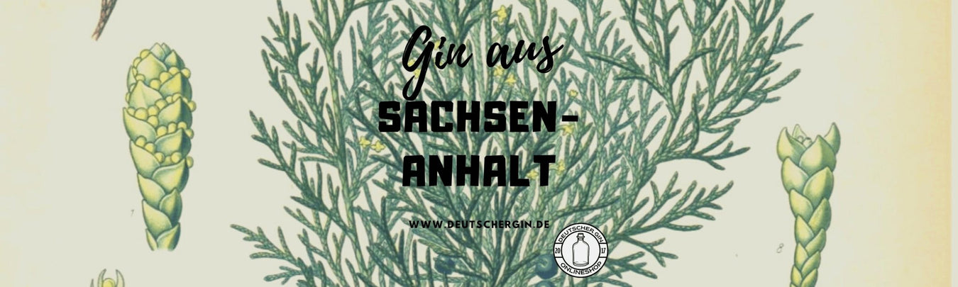 Gins aus Sachsen-Anhalt - Deutschergin